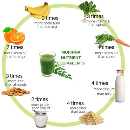 moringa.jpg
